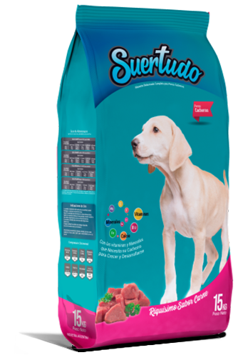 Perros Cachorros
